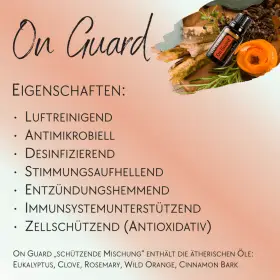 On Guard - 10 Stück
