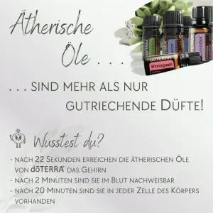 Ätherische Öle - 10 Stück