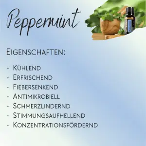 Pfefferminz - 10 Stück