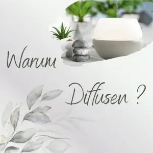Warum Diffusen? - 10 Stück