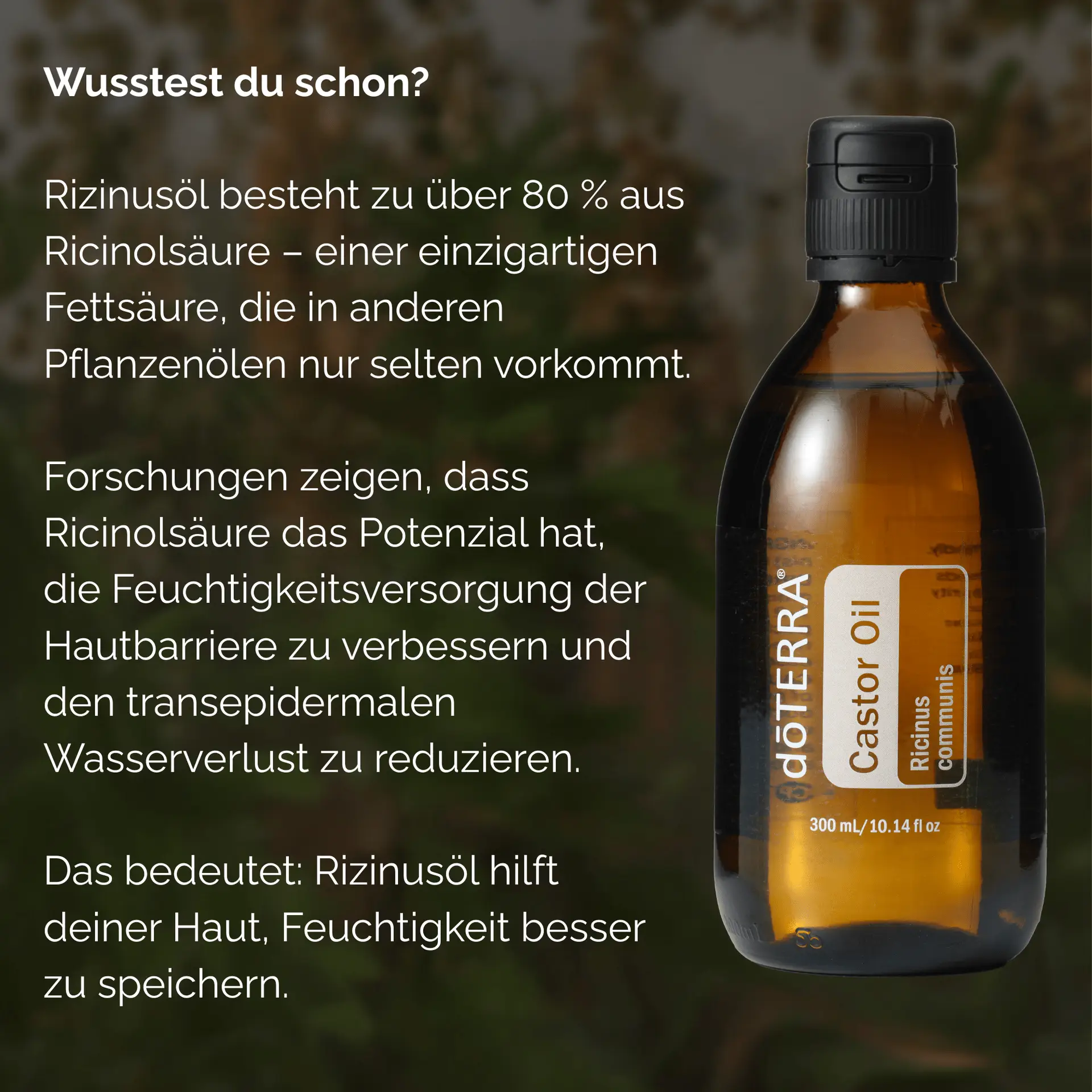 dōTERRA Castor Oil – Reines, kaltgepresstes Rizinusöl – Bild 3