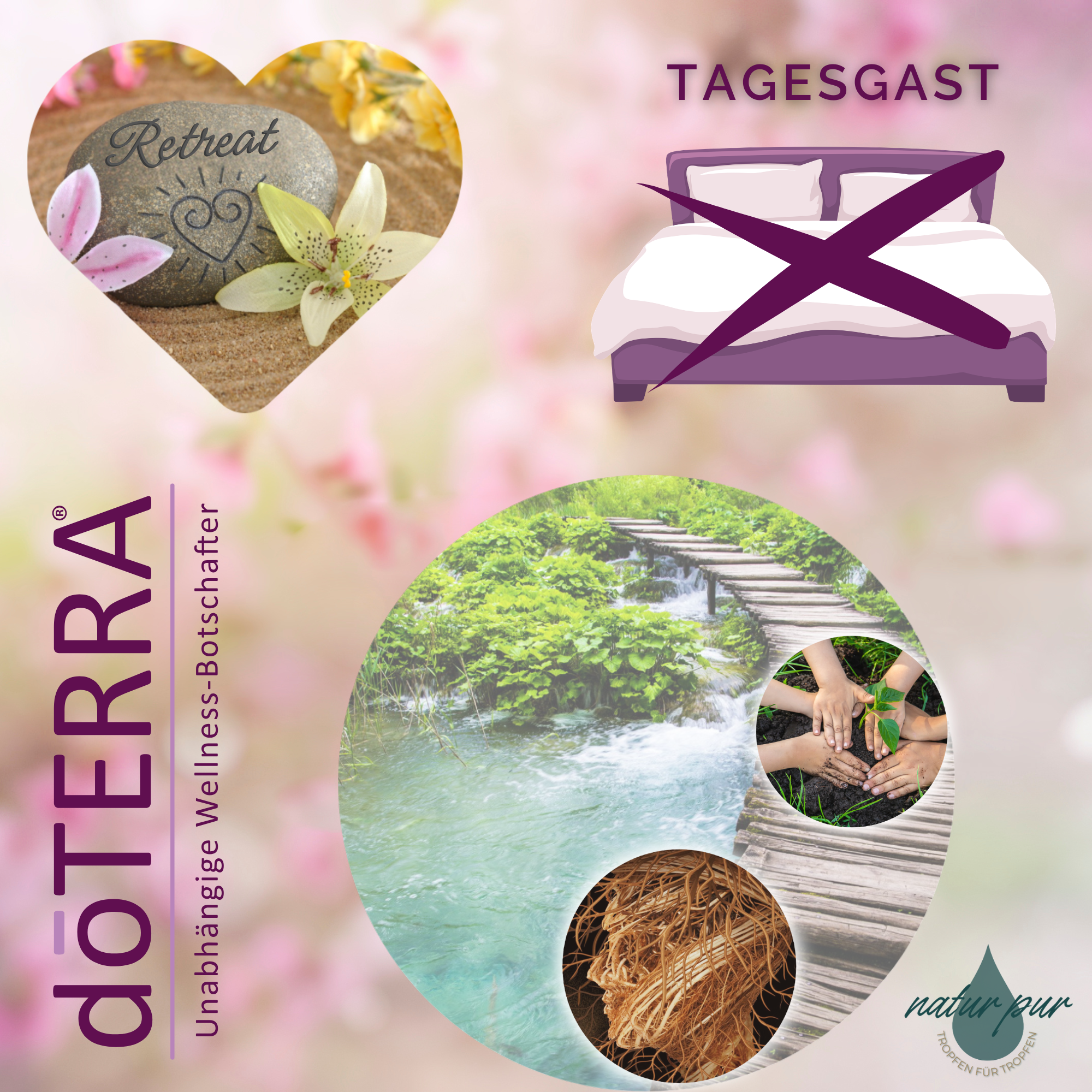 Tagesgast - 60,00 pro Person